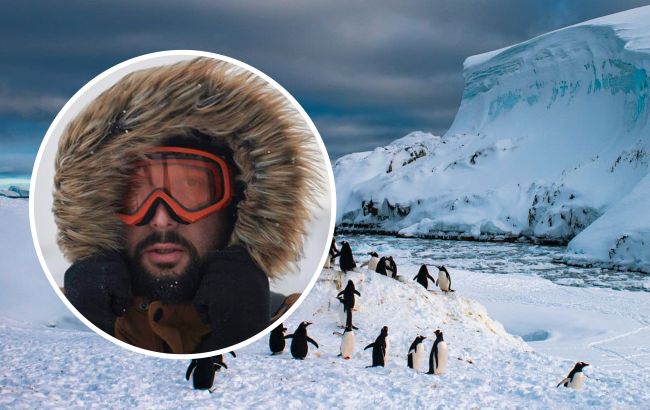 "От этого зависит будущее": какие запреты действуют для людей в мире пингвинов и ледников