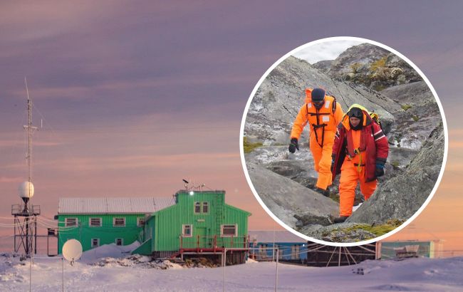 Украинские полярники показали любознательных "помощников", заглядывающих им в окна: милые фото