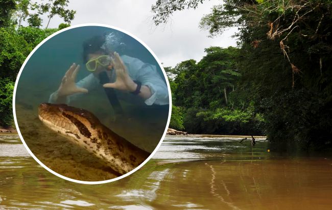 Ученые нашли самую большую змею в мире: зеленая анаконда длиной 8 метров и весит 200 килограммов