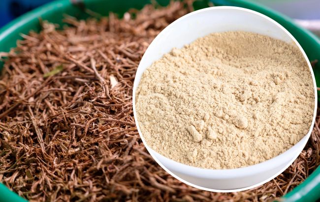 Що таке ашваганда? Вся правда про користь та шкоду цієї "панацеї"