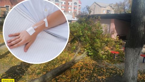 У Кременчуці в садочку на дітей завалилося дерево: 4-річна дівчинка в комі