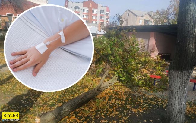 В Кременчуге в садике на детей рухнуло дерево: 4-летняя девочка в коме