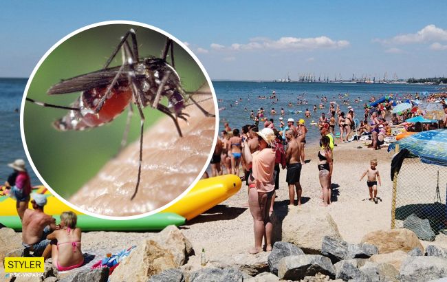 На українському курорті скаржаться на навалу комарів: "не пам'ятаю такого за 50 років" (відео)