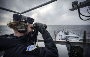 Країни НАТО біля кордону з РФ готуються до провокацій з українськими дронами