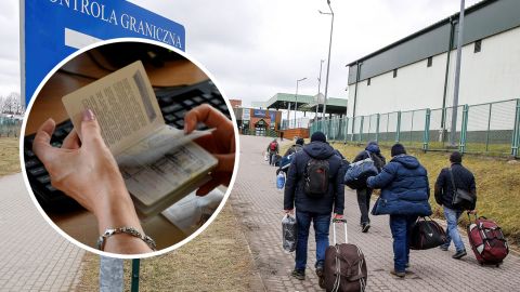 Український "пес-патріот" підірвав мережу своїм відео і став зіркою ТіК Ток