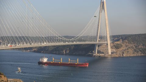 Росія продовжує блокувати "зерновий коридор", але черги вдалося зменшити