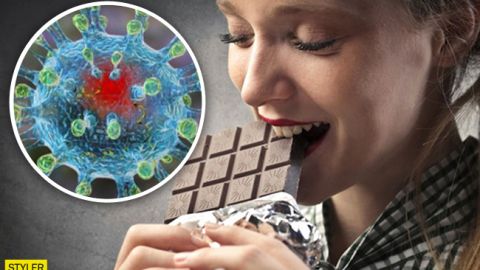 Эти продукты помогут пережить эпидемию коронавируса: запасайтесь шоколадом