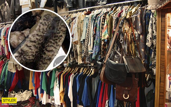 Воротник из кота: в Киеве на секонд-хенде обнаружили необычную находку