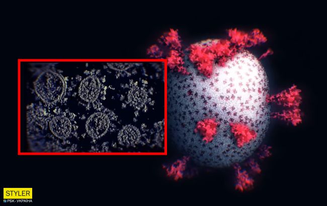Вчені вперше створили 3D-зображення коронавірусу: з'явилося відео