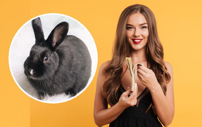 Эти три знака животных по китайскому календарю в год Кролика обретут успех и удачу