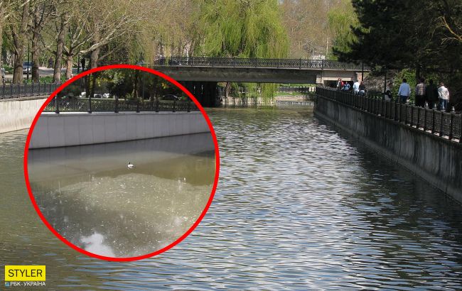 Крим перетворюється на смітник: в мережі показали "чисті" води річок