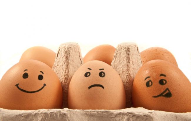 МінАП: тривають дослідження щодо наявності сальмонели в курячих яйцях, що експортуються в Ізраїль