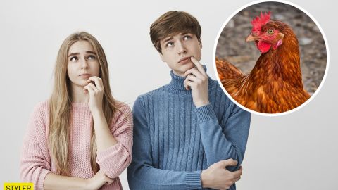 Ученые сообщили, что человек и курица похожи: речь не о внешности