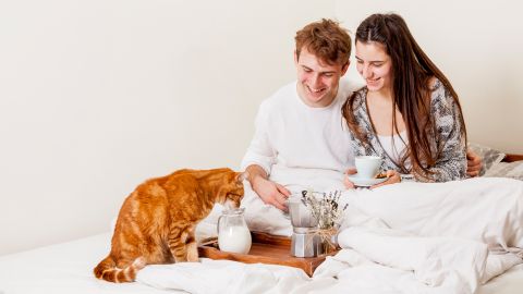 Эта привычка у кота во время еды может быть опасной: ветеринар объяснила, когда стоит волноваться