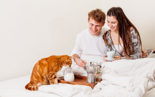 Ця звичка у кота під час їжі може бути небезпечною: ветеринар пояснила, коли варто хвилюватися