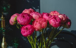 Розкрито секрет, як змусити квіти стояти тижнями у вазі: і це не аспірин