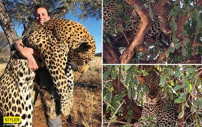 Любительница трофейной охоты беспощадно убила леопарда