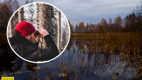 В Чернобыльском заповеднике показали зверя-лидера: красавец вытеснил другого (фото)