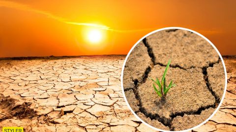 Зажарит и зальет: Украину скоро ждет резкая смена погоды