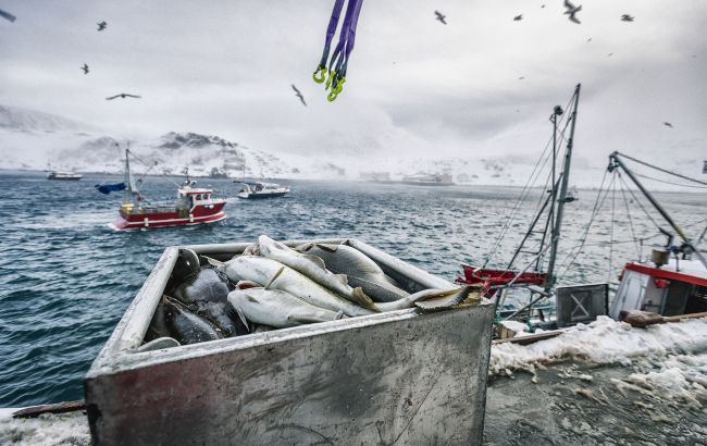 Українських рибалок запрошують працювати в Антарктиці: хто потрібен і як подати заявку