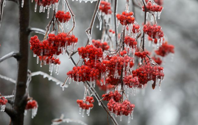 Ледяной шторм в Канаде: стало известно о первой жертве