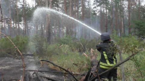 Синоптики предупредили о высокой пожарной опасности в Киеве