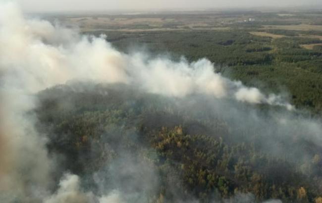 Лісову пожежу в Харківській області ліквідовано