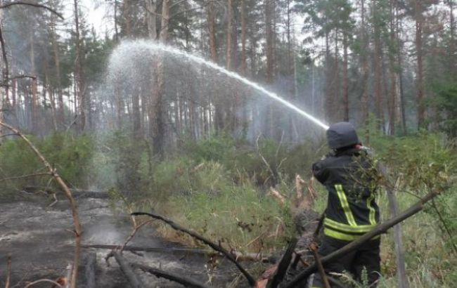 В Украине до конца недели сохранится пожарная опасность