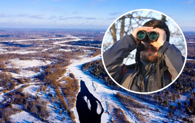 Руда шерсть і хитрі очі. В Чорнобилі показали спритну хижачку (фото)