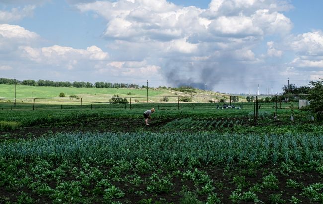 ООН запустила программу по разминированию и оказанию помощи фермерам в Украине