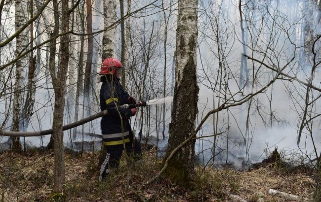 В Харківській області горить хвойний ліс