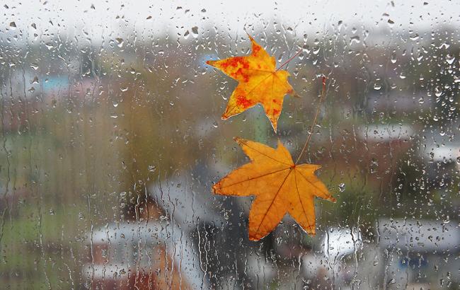 Погода на сегодня: в Украине местами дожди и грозы, температура до +29