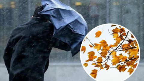 В Україну йде сильний штормовий вітер: які області під ударом