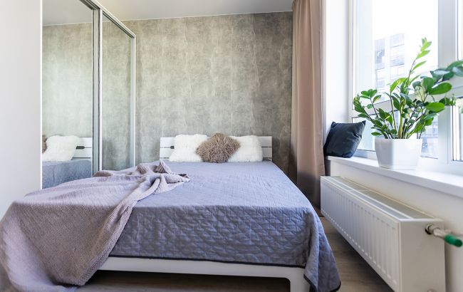 Это растение обязательно должно быть в спальне: прекрасно очищает воздух