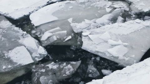 В Киеве дети ушли под лед: шокирующее видео спасения школьников