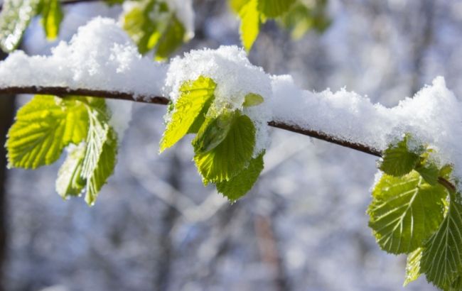 Зима возвращается: синоптики рассказали, где ждать лютые морозы