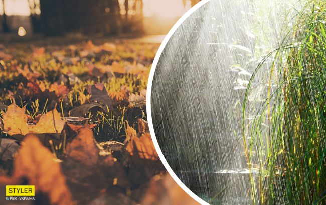 Тепло возвращается: синоптики осчастливили украинцев прогнозом