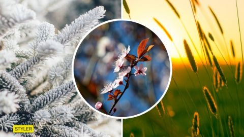 Год дождей и морозов: синоптик дал огорчающий прогноз на 2019 год