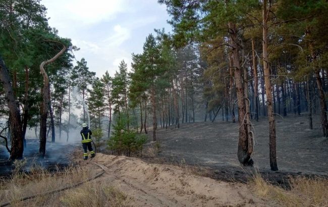 У Луганській області знову горить ліс