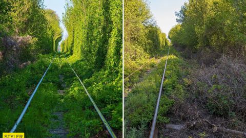 В Черкассах поиздевались над достопримечательностью тоннель любви: как он теперь выглядит