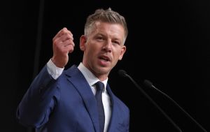 Мадяр буде розслідувати оборудки у приватизації 1988-2000 років в Угорщині