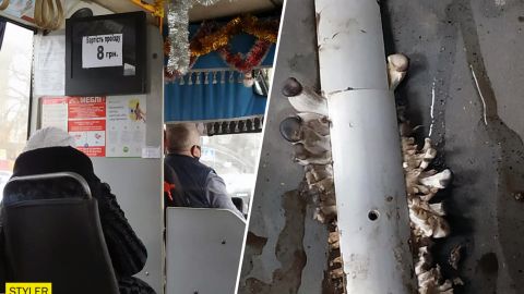 На Прикарпатті в маршрутці виросли гриби. Ціна за проїзд теж (фотофакт)