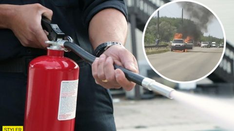 Під Черніговом на ходу спалахнуло авто: люди встигли вискочити з палаючої машини (відео)