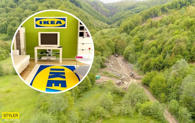 IKEA попала в громкий скандал из-за незаконно вырубленных лесов в Карпатах