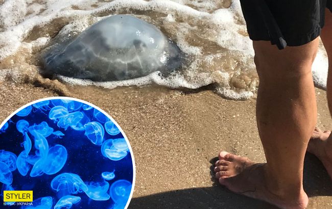 На курорті Азовського моря навала медуз: їх вивозять тачками (відео)