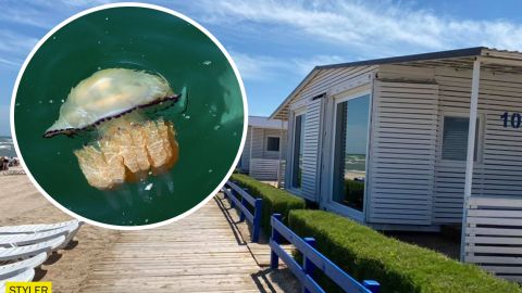 Медузы размером с акул: украинка разнесла "лучший курорт Херсонщины"