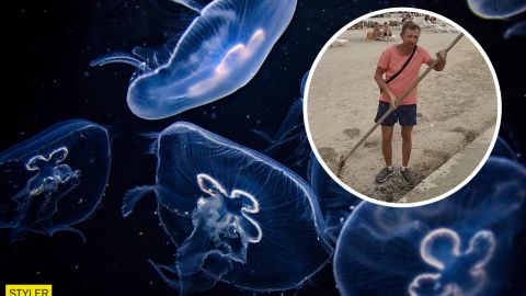 У Генічеську медуз скидають у море разом зі сміттям: скандальне відео