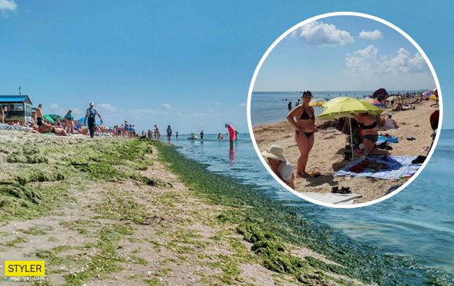 Азовское море вновь постигла беда: в воду невозможно зайти