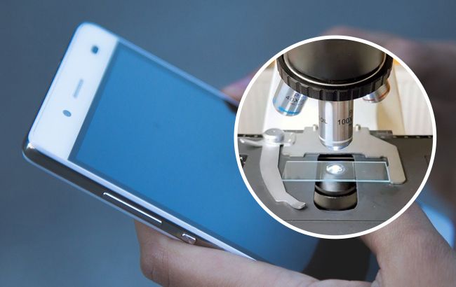 Целые колонии микробов: ученый показал, что "живет" на поверхности смартфона