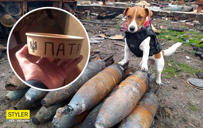 З пса Патрона зробили бренд: в мережі продають його миску за 15 тисяч гривень